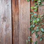 漫画ACG导航:探索无限精彩的动漫世界与资源分享 a3120s