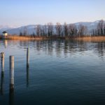 漫画免费观看的软件:畅享无限漫画资源的最佳选择推荐 daj6immnj