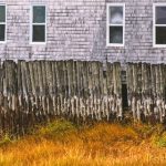 漫画 恋爱 language zhenya:探索爱情中的语言艺术与情感表达 od4gz