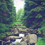 满清十大酷刑翁虹版在线观看:揭示历史背后的残酷真相 puob57e