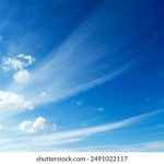 汤姆叔叔影院:探索经典电影与家庭温馨的完美结合 s93qd