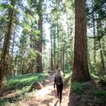 畅享达达兔高清影院在线观看,尽享精彩影视盛宴 539yf30n7